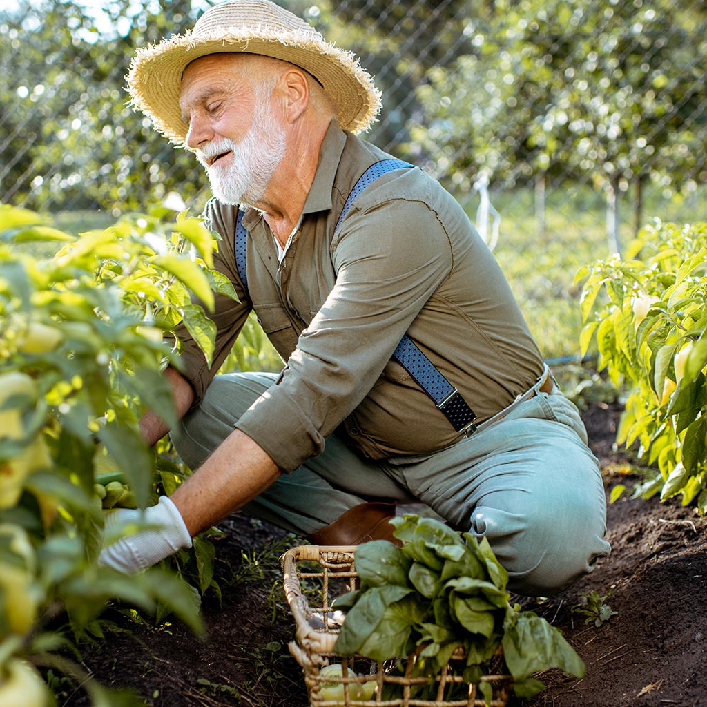 Bio-Landwirtschaft Bio-Landwirtschaft